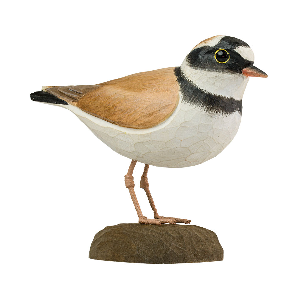 FluĂźregenpfeifer - Little Ringed Plover FluĂźregenpfeifer - Little Ringed Plover