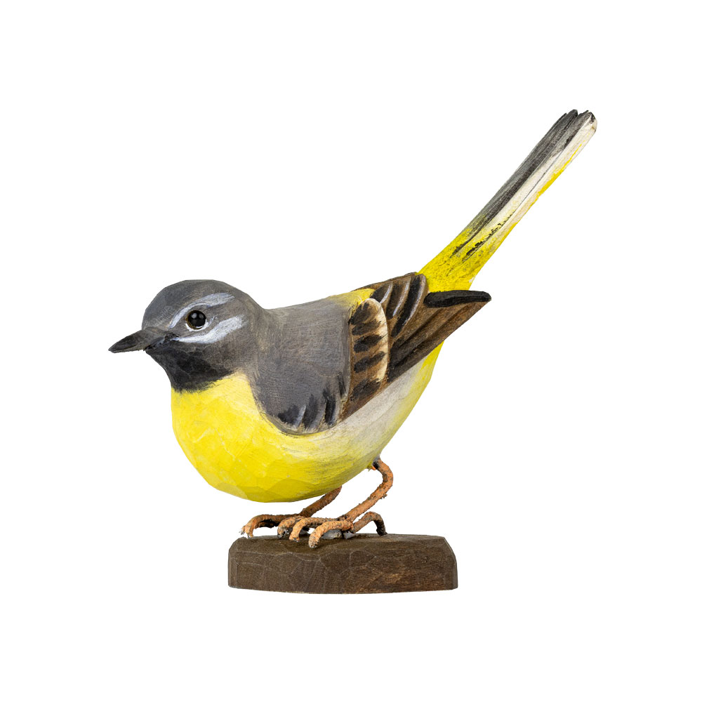 Gebirgsstelze - Grey Wagtail Gebirgsstelze - Grey Wagtail