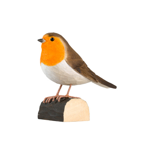 Rotkehlchen - Robin Rotkehlchen - Robin