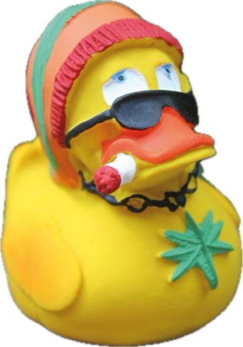 Quitscheente als Dr. Reggae