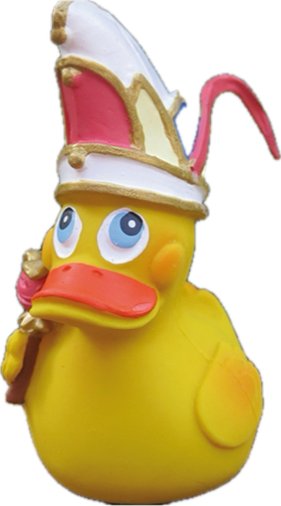 Fastnacht Ente in Kostüm Fastnacht
