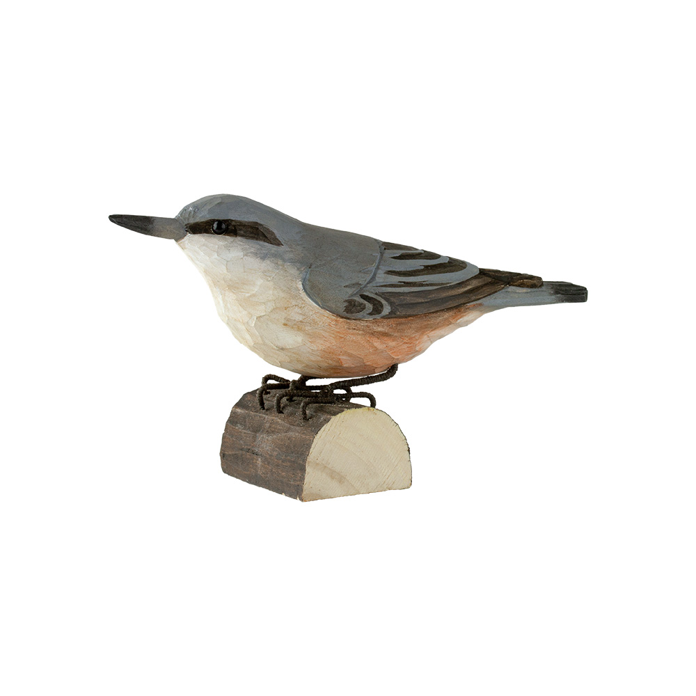 Kleiber - Nuthatch Kleiber - Nuthatch