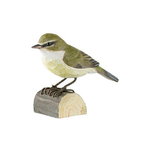 Zilpzalp - Chiffchaff Zilpzalp - Chiffchaff