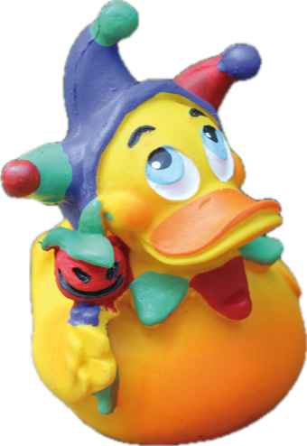Harlekin Quitscheente mit Kostüm Fasching