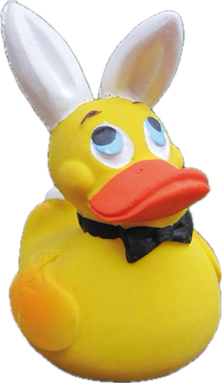 Ente als Hase