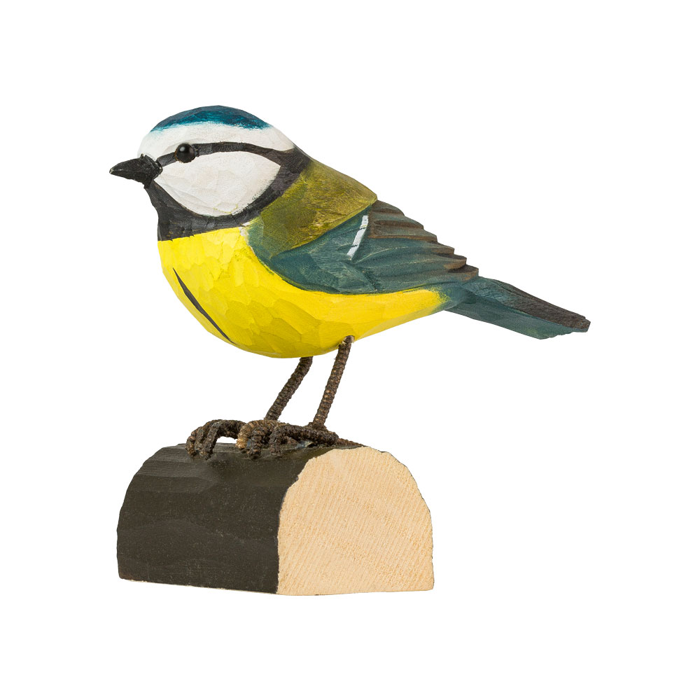 Blaumeise - Blue Tit