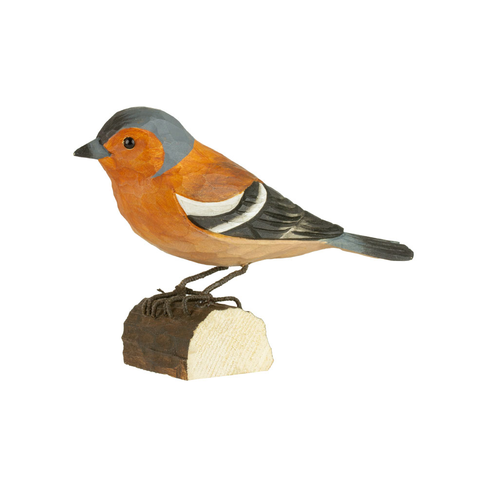 Buchfink - Chaffinch