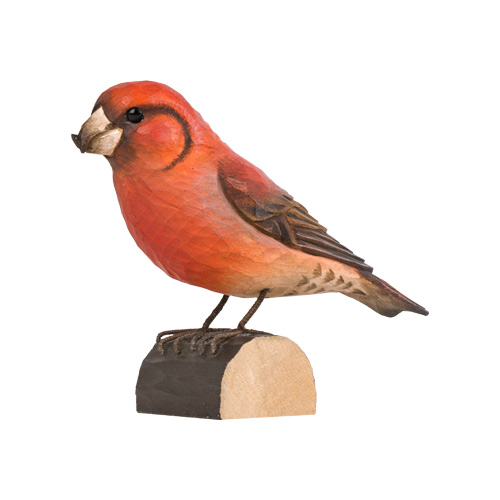 Fichtenkreuzschnabel - Red Crossbill