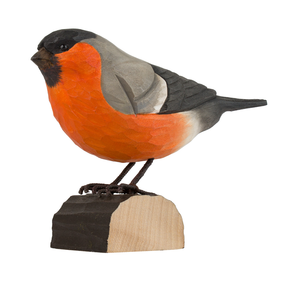 Dompfaff - Bullfinch Dompfaff - Bullfinch