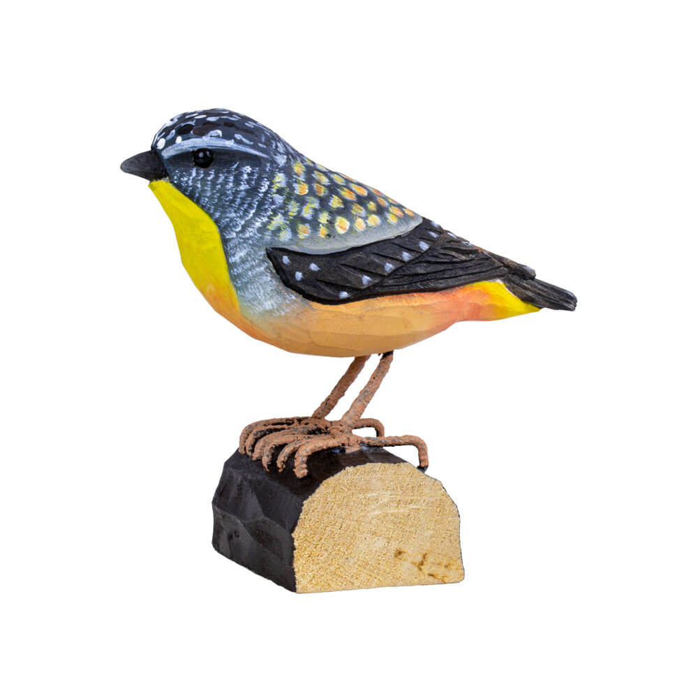 Fleckenpanthervogel - Spotted Paradalote Fleckenpanthervogel - Spotted Paradalote