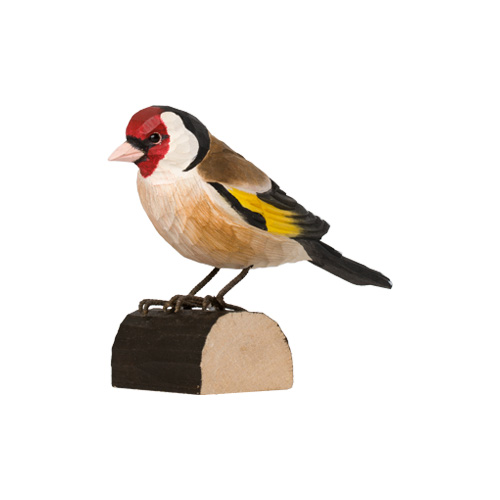 Stieglitz - Goldfinch